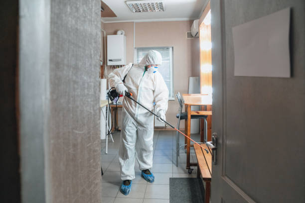  Oquawka, IL Mold Removal Pros