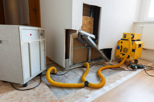 Best HVAC Mold Inspection and Cleaning  in Oquawka, IL